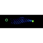 AURIE Q FINACE YO-ZURI