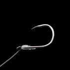 BAS DE LIGNE COULI-BB