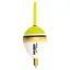 FFST110 10 g