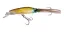 LYHS14TMYB Tiger Squid (TMYB)