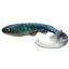 BONI-HH28-HER Herring - 28 cm