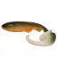 BONI-HH24-ID ID - 24 cm