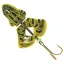 GNVBF Northern Leopard Frog (61)