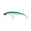 CYN7HSIW Blue Black Sardine (HSIW)