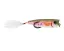 ABWSP7348 Rainbow Trout - 10.5 g