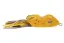 ABWSF106 Pumpkin Seed