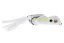 ABWTSH1244 Shameless Shad