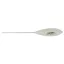 BBFB30 30 g