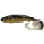 BONI-HH24-PPIKE PInky Pike - 24 cm