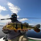 Black Bass Casting