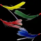 PLUMES DE MER FILAMENTS - 5 HAMEÇONS N° 2/0