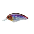 3DS CRANK SR (SP) - 50 mm