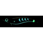 AURIE-Q SEARCH DOUBLE GLOW - 2.5 - 9 cm