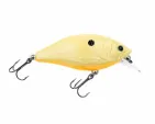 Rad Squarebill