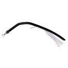 ANGUILLON  FLASHMER - N°3/0