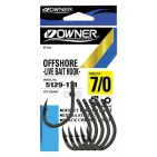 5129 OFF SHORE OWNER