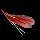 PLUMES DE MER FILAMENTS - 5 HAMEÇONS N° 2/0