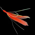 PLUMES DE MER FILAMENTS - 7 HAMEÇONS N° 3/0