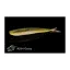 LKFF50N234 Goby