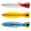 LYMP160BONE Bone (BONE)