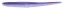 LKSG6N73 Purple Majesty (73)
