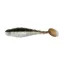 LKGR1N6 Arkansas Shiner (6)