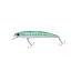 LYPM9M176 Anchois Dos Vert (M176)