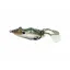 ABWSP7706 Angry Gill