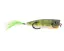 ABWSP7364 Dark Gill - 10.5 g