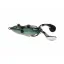 ABWSP7717 Shad