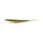 LKFF7N06 Arkansas Shiner