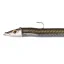 SNA30OE Original Eel - 30 g