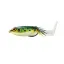 BYTR3901 Leopard Frog (901)