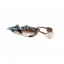 ABWSP7716 Sparrow