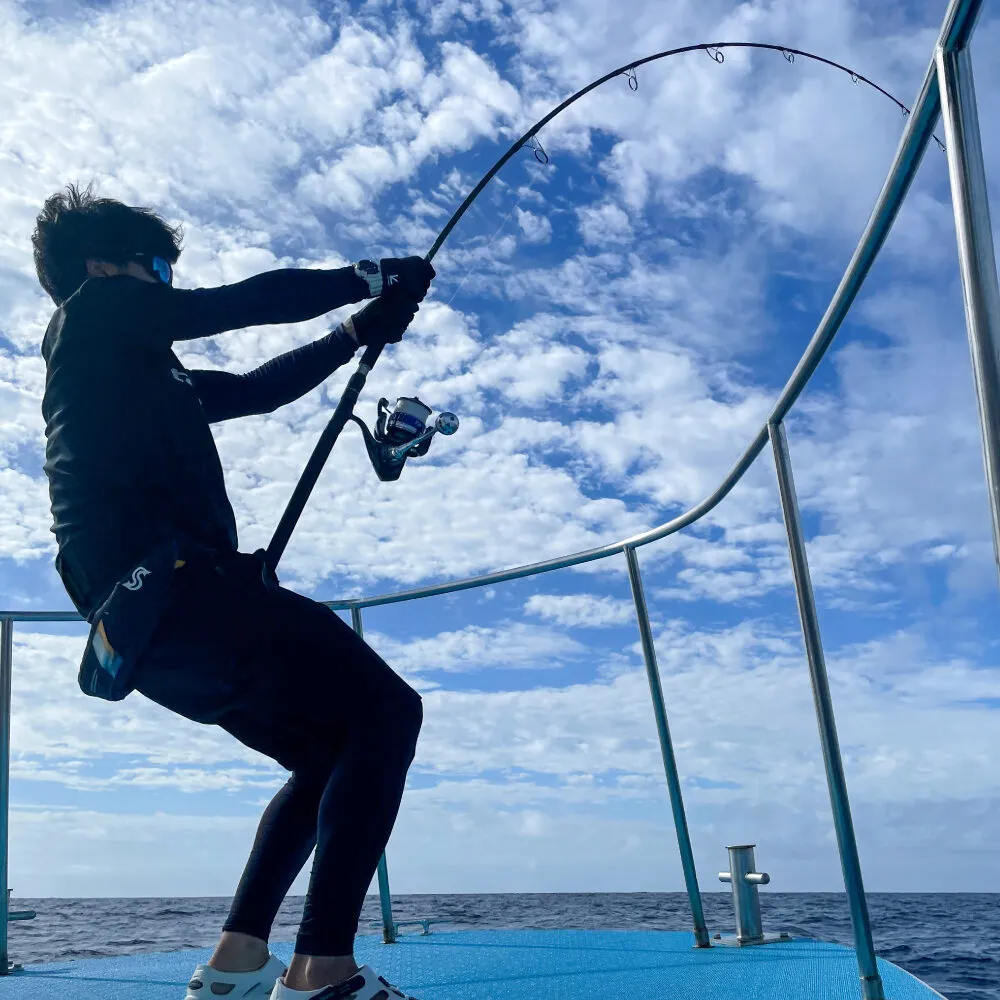 CANNE SPRINT STICK SSD