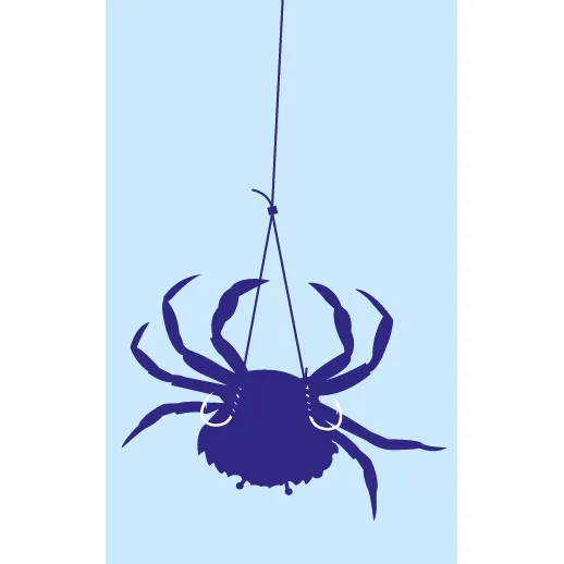 HAMEÇON MONTÉ CRABE WISHBONE