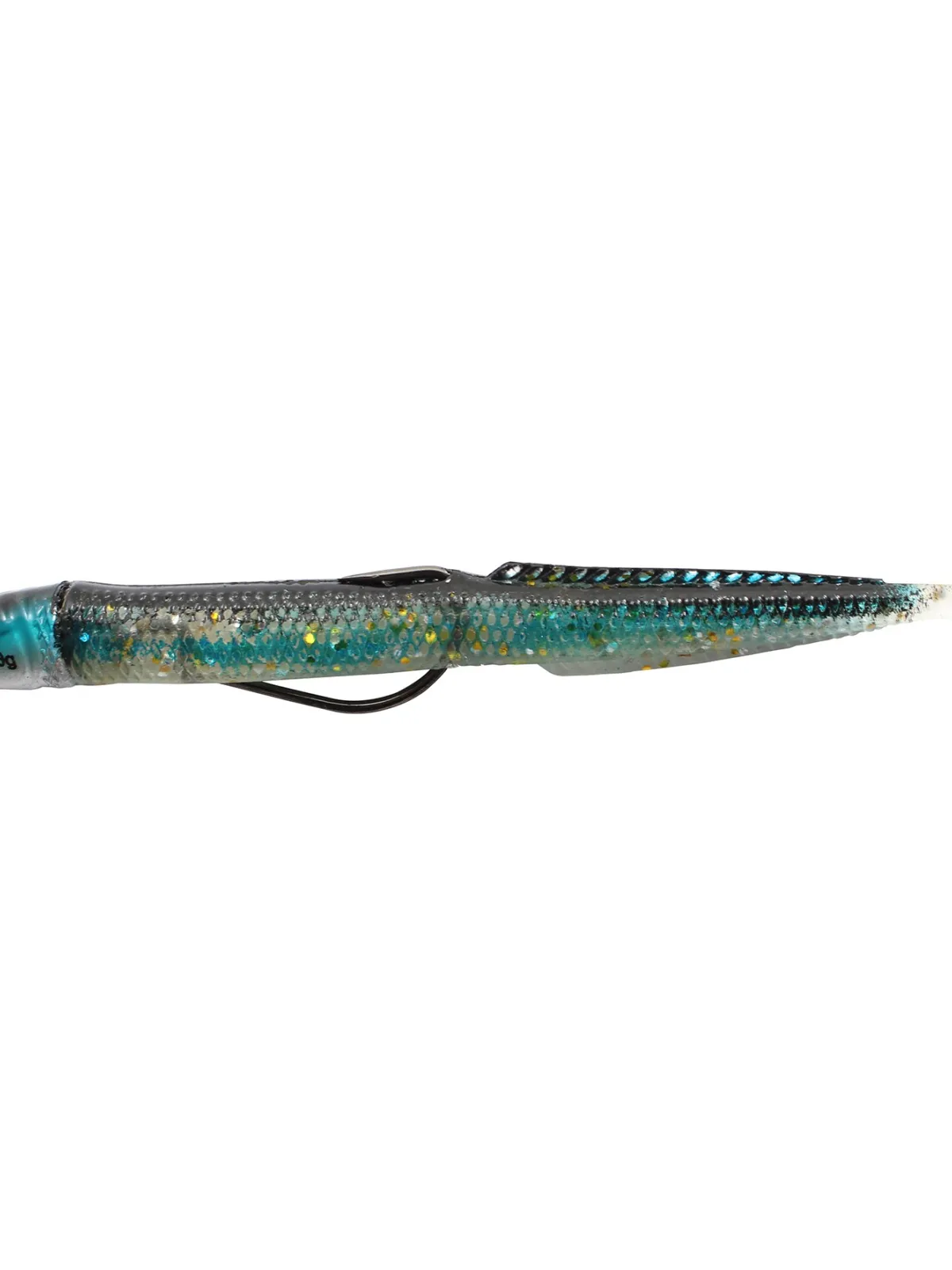 BLUE EQUILLE JUNIOR