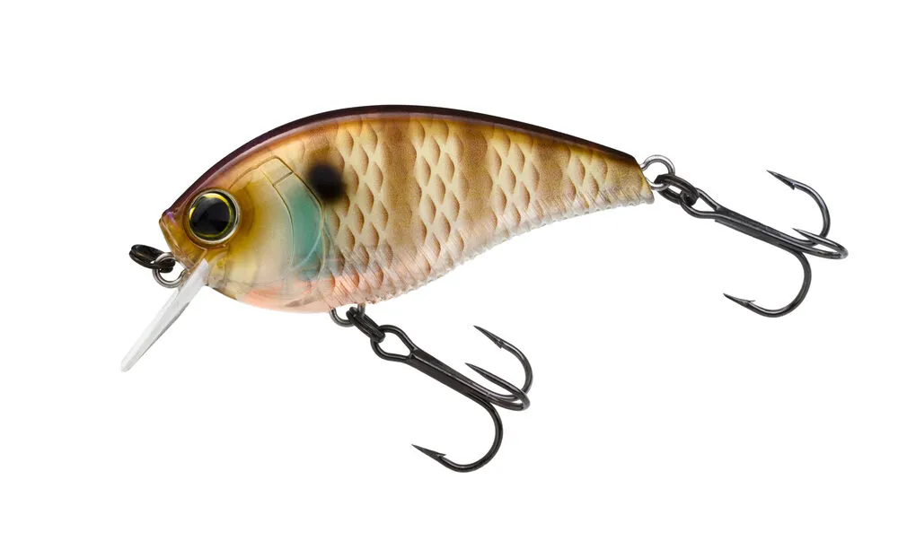 3DB CRANK SQUARE BILL (F) - 60 mm
