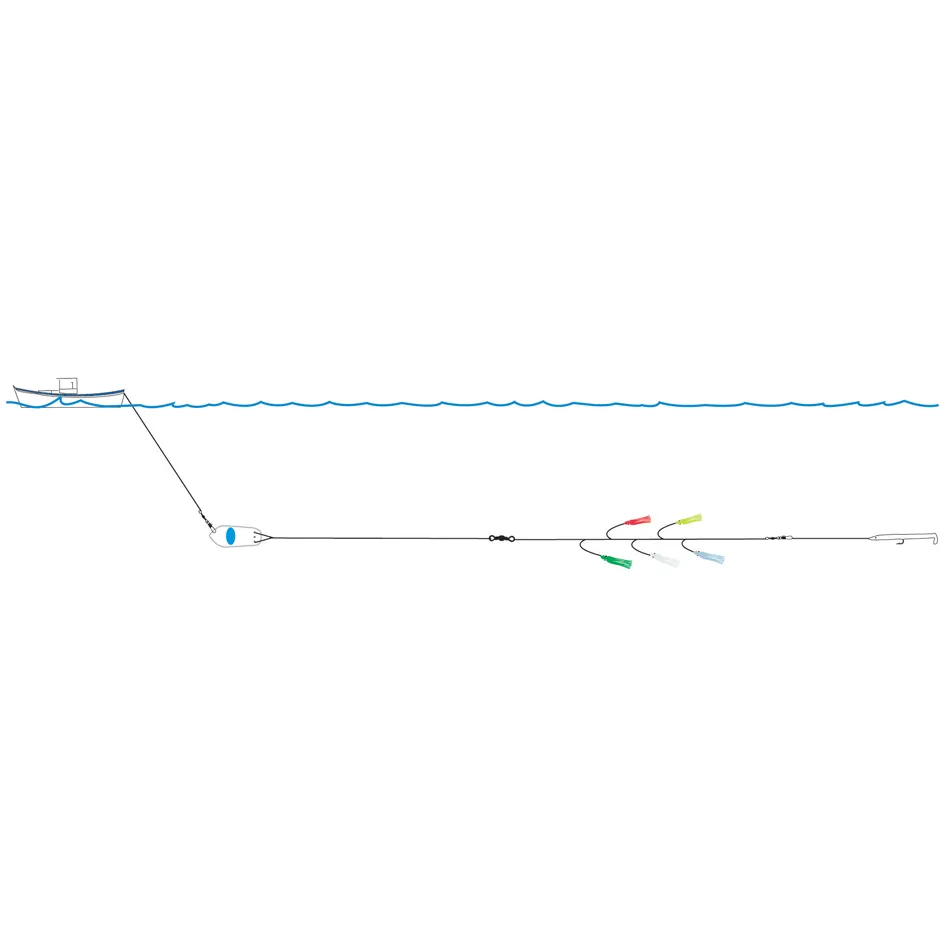 LIGNE DE TRAINE CAPITAINE