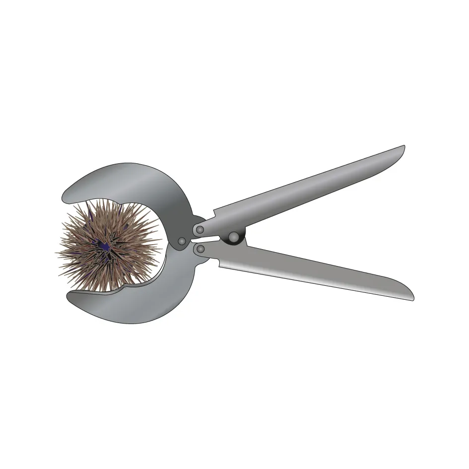 28 CM STAINLESS STEEL SEA URCHIN TONGS