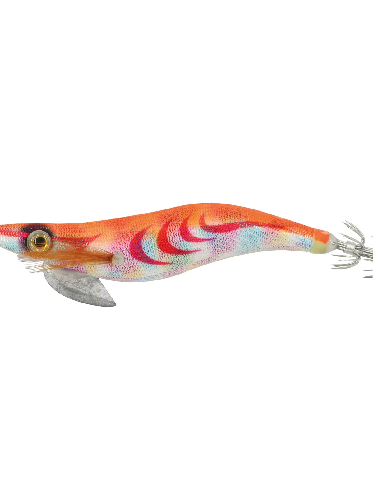 SEA SHELL - 3.5–12 cm