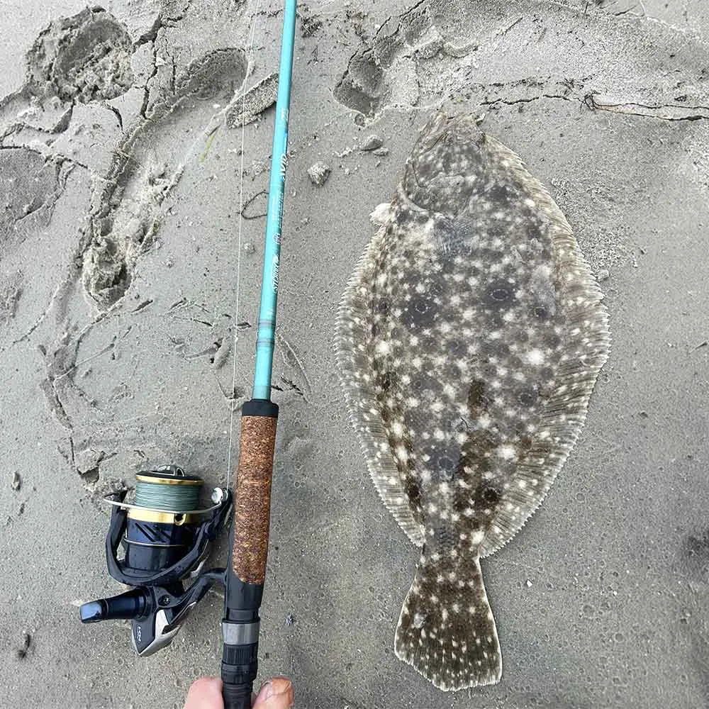 Avid Inshore Spinning