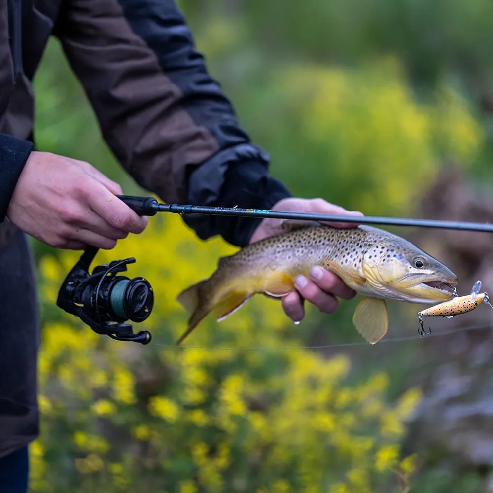 Canne Trout Series Spinning