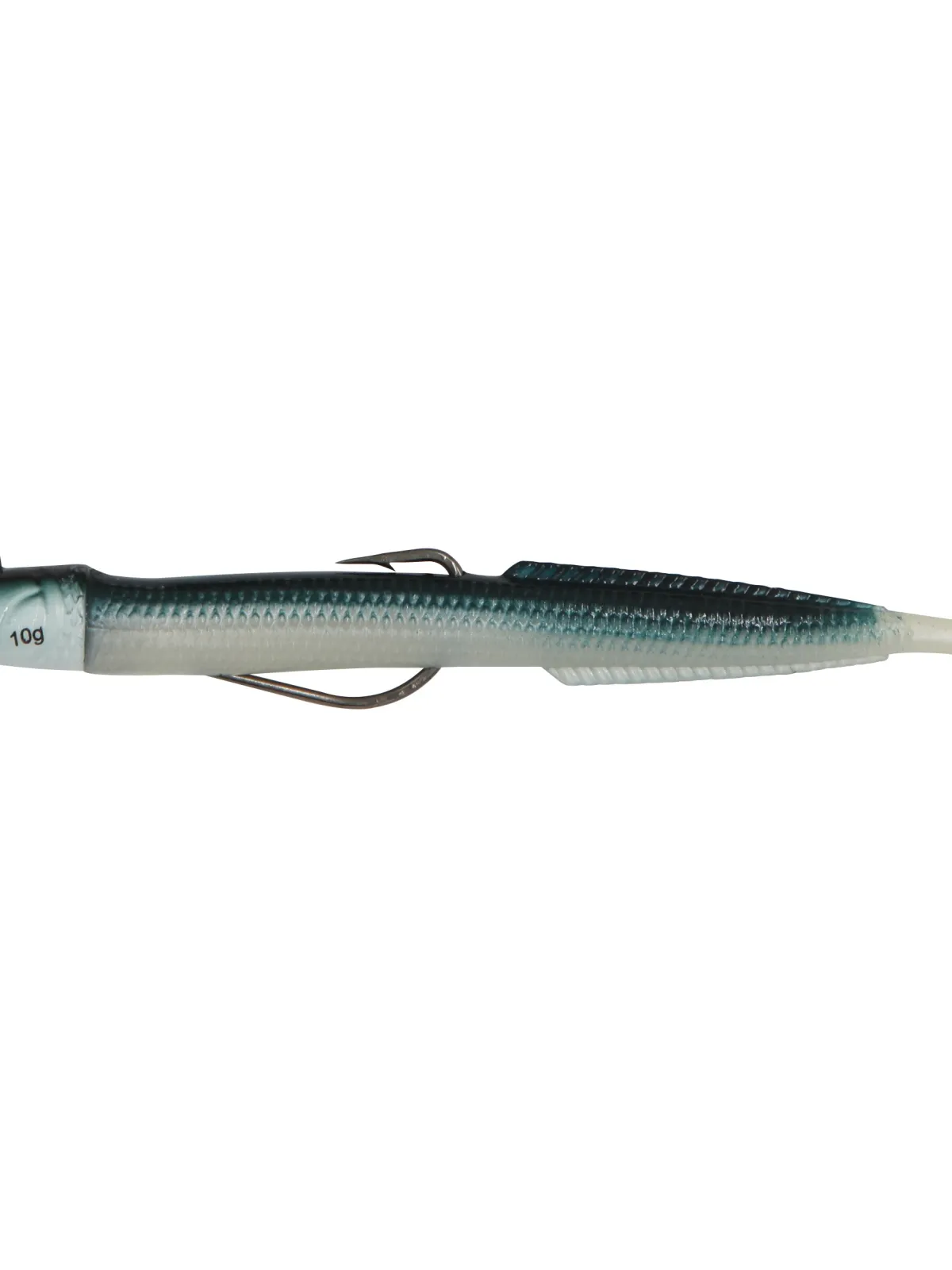 BLUE EQUILLE JUNIOR