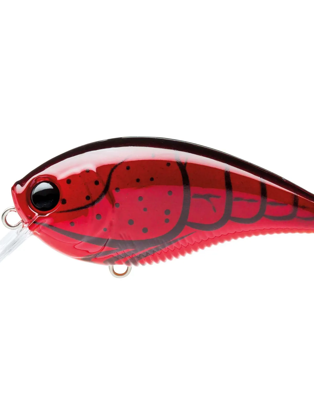 3DB CRANK SQUARE BILL (F) - 60 mm