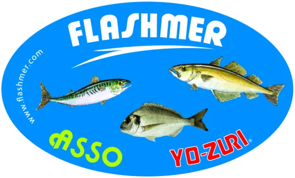 Produit AUTO-COLLANT OVALE FLASHMER ASSO YO-ZURI Image