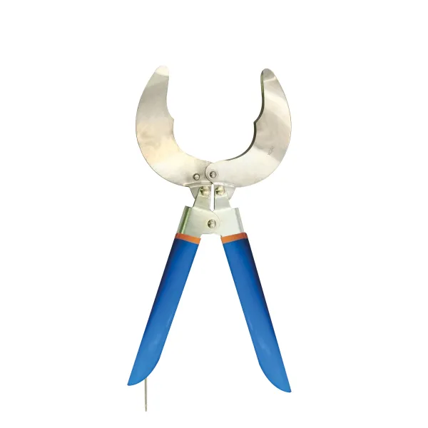 Product 28 CM STAINLESS STEEL SEA URCHIN TONGS Image