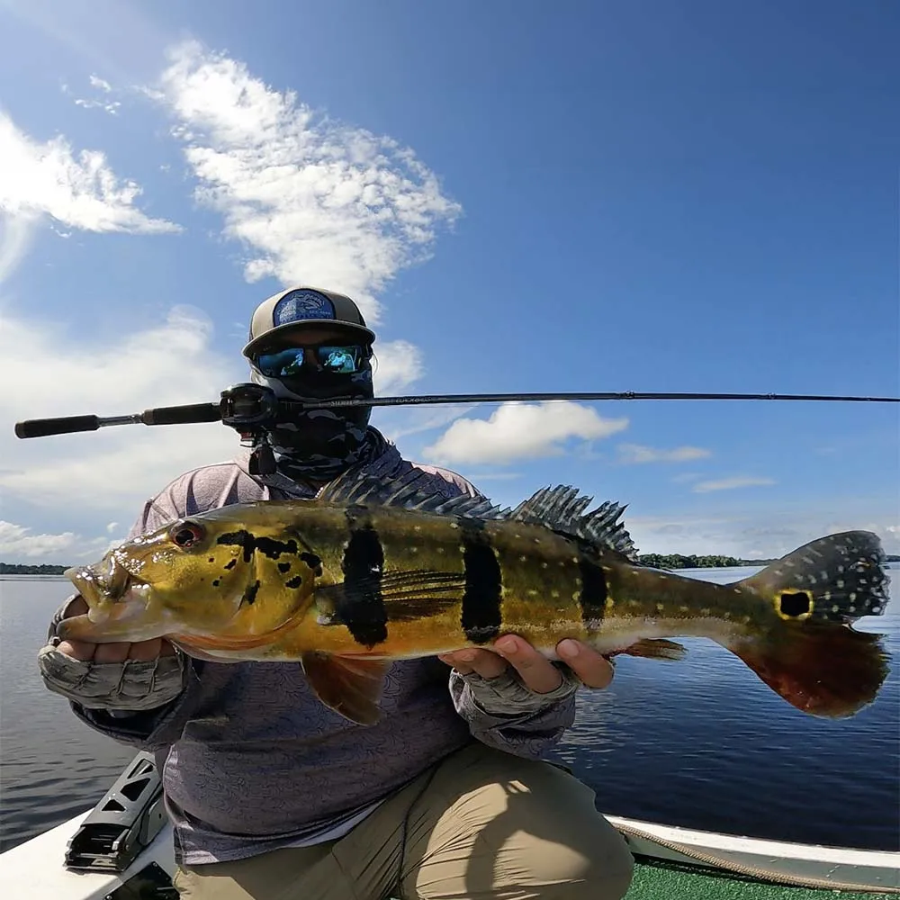 Black Bass Casting