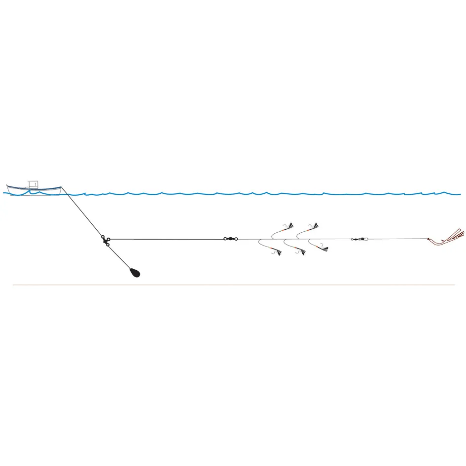 LIGNE DE TRAINE COTE OUEST