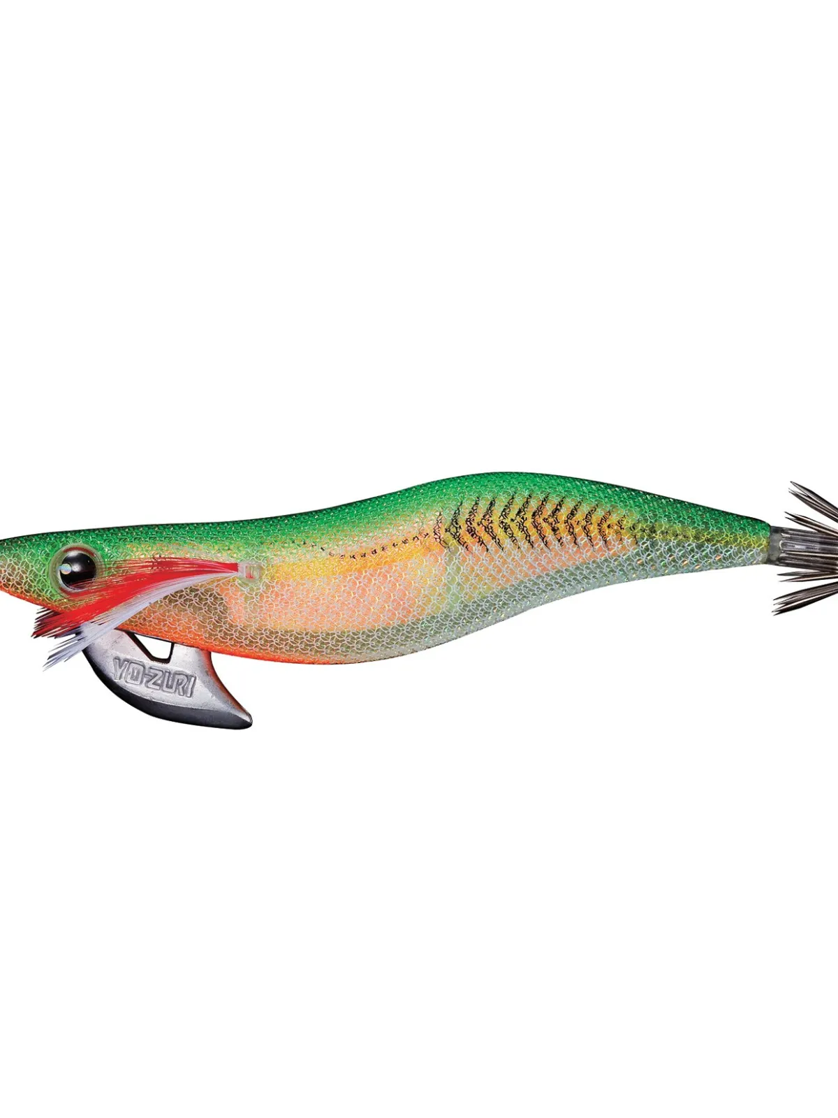 AURIE-Q RS - 1.6 - 4 cm